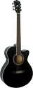 Washburn EA12B