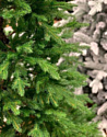 Albero Di Natale Agata 1.8 м