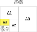 BRAUBERG A3 20 л 113855