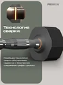 Proiron Г2030ОБР (2 шт)