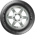 Bridgestone Blizzak DM-V2 275/50 R20 113T