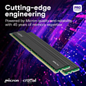 Crucial Pro CP32G4DFRA32A