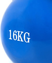 Protrain HC3032-16 16 кг