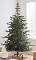 National Tree Company Norwegian Spruce 2.25 м (PENG4-500-75)