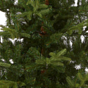 National Tree Company Norwegian Spruce 2.25 м (PENG4-500-75)