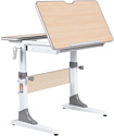 Anatomica Study-80 + стул + выдвижной ящик с серым стулом Lux-01 (клен/серый)