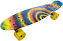 Amigo Surfer Rainbow