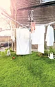 Brabantia Topspinner 310867 50 м (серый металлик)
