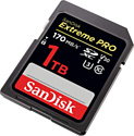 SanDisk Extreme PRO SDXC SDSDXXY-1T00-GN4IN 1TB