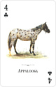 US Games Systems Horses of the Natural World Playing Cards HWC54
