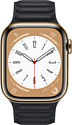 Apple Watch Series 8 LTE 41 мм (корпус из нержавеющей стали, кожаный ремешок)
