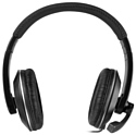 SPEEDLINK SL-8727-BK-01 THEBE CS Stereo Headset