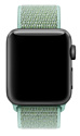 Apple из плетеного нейлона 38 мм (зеленая лагуна) MRHT2