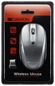 Canyon CNE-CMSW03DG Grey USB