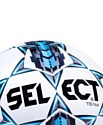 Select Team FIFA 2015 (размер 5)