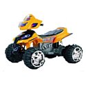 Electric Toys X-Sport (ZP5118)