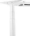 ErgoSmart Unique Ergo Desk 1360x800x36мм (дуб мореный/белый)