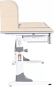 Anatomica Study-120 Lux + надстройка + органайзер + ящик с оранжевым креслом Бюрократ KD-2 жирафы (клен/серый)
