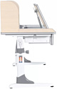 Anatomica Study-120 Lux + надстройка + органайзер + ящик с оранжевым креслом Бюрократ KD-2 жирафы (клен/серый)