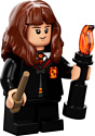 LEGO Harry Potter 76387 Хогвартс: пушистая встреча