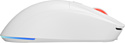 Genesis Zircon XIII Custom white