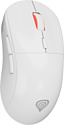 Genesis Zircon XIII Custom white