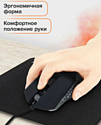 Sonnen I3 black Sonnen I3 black