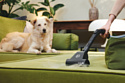 Hoover HP120PET 011