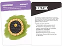 Brainy Games Воображение УМ463