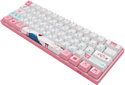 Akko 3061 World Tour Tokyo R2 Gateron Pink