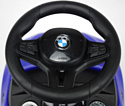 RiverToys BMW M5 A999MP-D