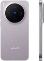 Vivo X300 V2515 12/256GB (международная версия)