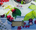 Galaxy Line GL2818