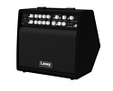 Laney A1+