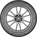 Goodyear Eagle F1 Asymmetric 6 245/45 R18 100Y