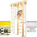 Kampfer Wooden Ladder Wall Basketball Shield (стандарт, натурал./белый)
