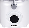 Raven ESO005