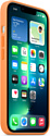Apple MagSafe Silicone Case для iPhone 13 Pro (весенняя мимоза)