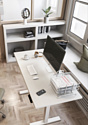 ErgoSmart Electric Desk Compact (белый)