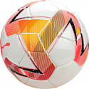 Puma Futsal 2 HS 08376401 (4 размер)