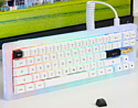 Akko ACR Pro 68 White Akko CS Crystal (без кириллицы)