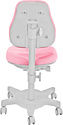 Anatomica Study-120 парта + кресло + органайзер + ящик (клен/серый/розовый)