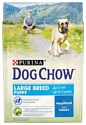 DOG CHOW Puppy Large Breed с индейкой для щенков крупных пород (2.5 кг) 4 шт.