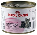 Royal Canin (0.195 кг) 12 шт. Babycat Instinctive canned