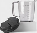 NutriBullet NBJ100