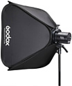 Godox SGGV6060 с сотами и адаптером S2