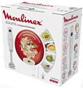 Moulinex Dailymix DD533132