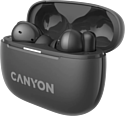 Canyon TWS-10