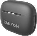 Canyon TWS-10