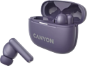 Canyon TWS-10